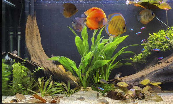 IMG_20180215_135344 bewerkt 051.jpg