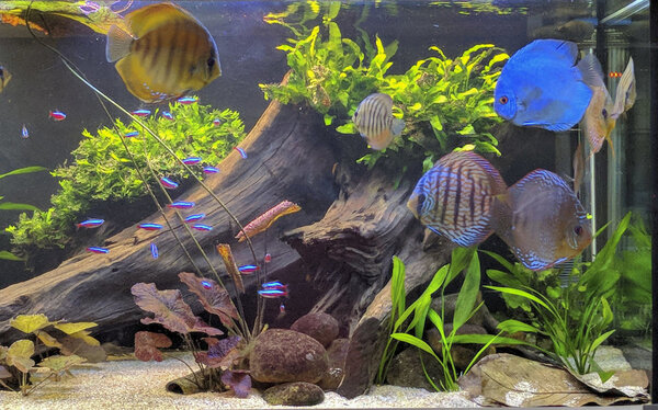 IMG_20180215_135401 bewerkt 052.jpg