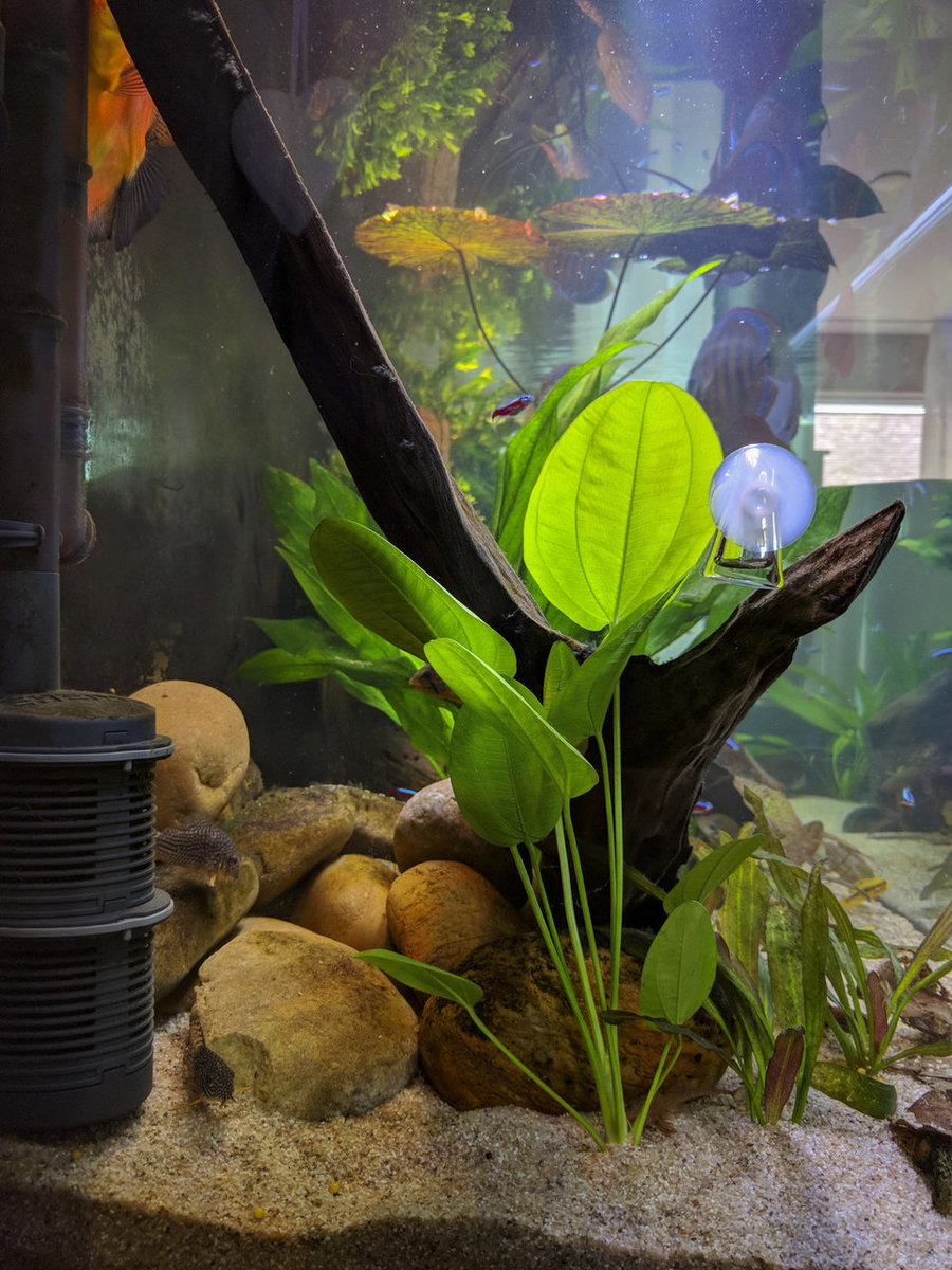 IMG_20180216_151116 bewerkt 054.jpg