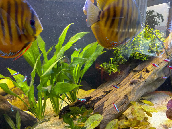 IMG_20180216_165641 bewerkt 060.jpg