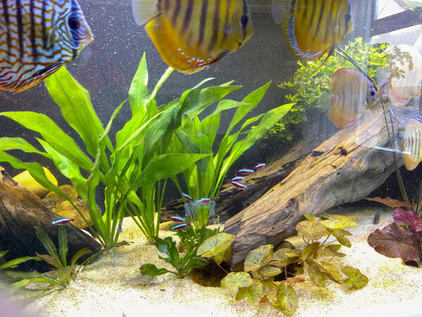 IMG_20180216_170348 bewerkt 057.jpg