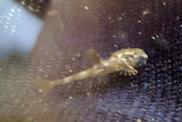 IMG_20180222_131940 bewerkt 064.jpg