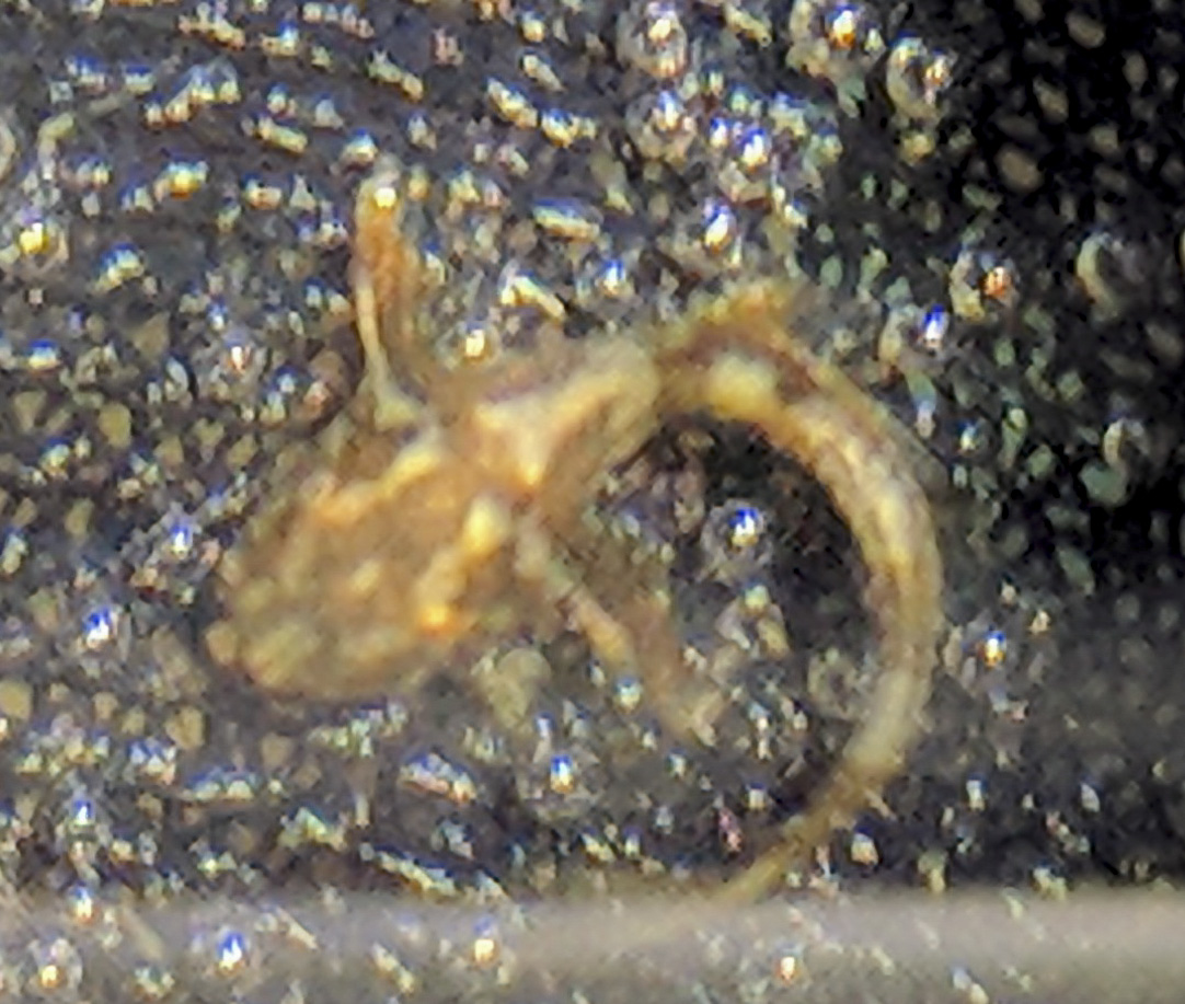 IMG_20180222_145816 bewerkt 067.jpg