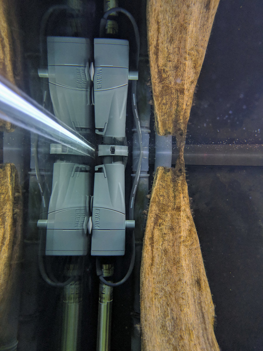 IMG_20180312_162040 bewerkt 242.jpg