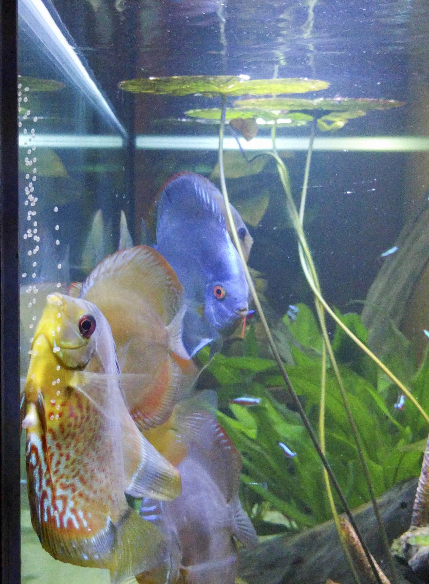 IMG_20180312_212619 bewerkt 245.jpg