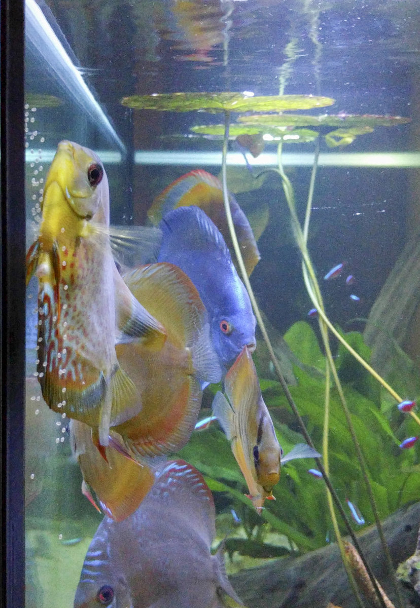 IMG_20180312_212624 bewerkt 244.jpg