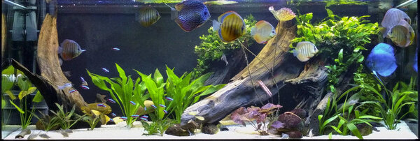 IMG_20180315_192318 bewerkt 246.jpg