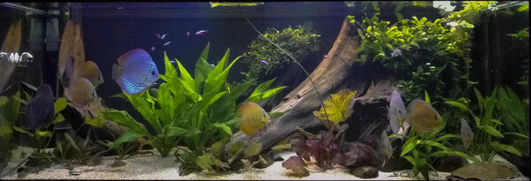 IMG_20180411_211041 bewerkt 319.jpg