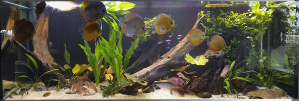 IMG_20180412_193634 bewerkt 321.jpg