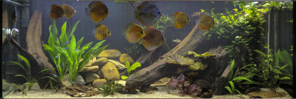 IMG_20180416_144656 bewerkt 324.jpg