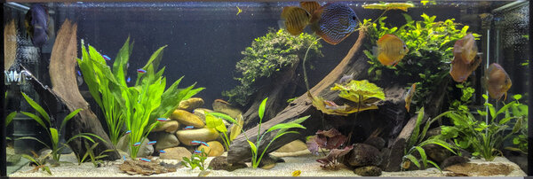 IMG_20180419_144428 bewerkt 332.jpg