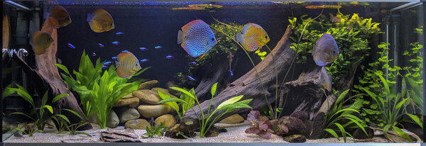 IMG_20180504_205821 bewerkt 395.jpg