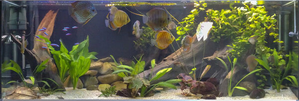 IMG_20180524_193323 bewerkt 410.jpg