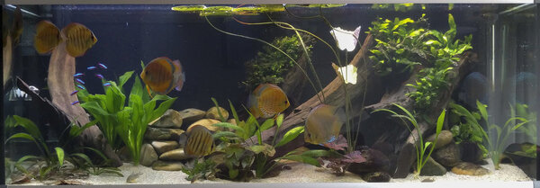 IMG_20180529_162235 bewerkt 435.jpg