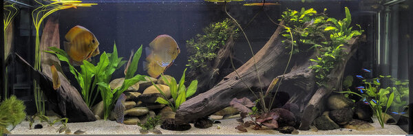 IMG_20180601_155055 bewerkt 442.jpg