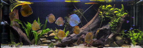 IMG_20180601_201526 bewerkt 443.jpg