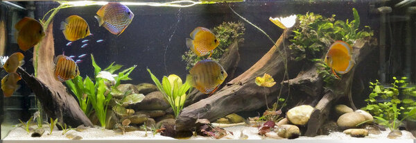 IMG_20180622_154123 bewerkt 484.jpg