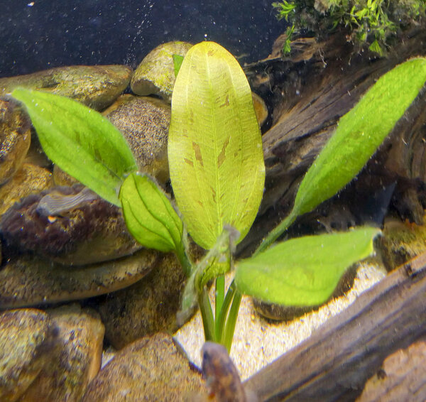 IMG_20180622_190629 bewerkt 485.jpg