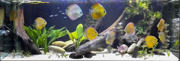 IMG_20180705_205516 bewerkt 565.jpg