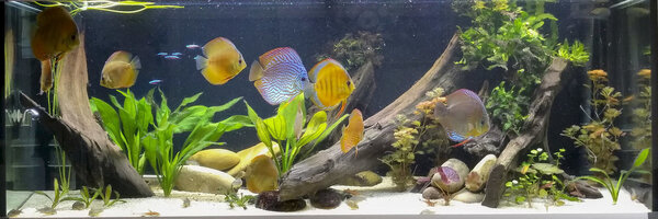 IMG_20180706_115308 bewerkt 566.jpg