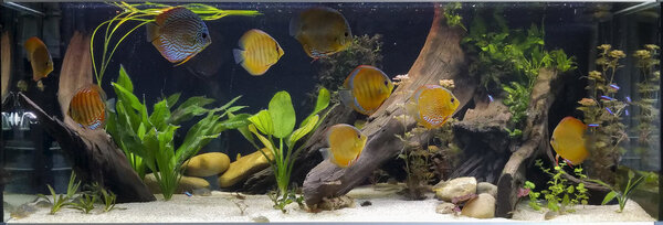 IMG_20180712_184418 bewerkt 573.jpg