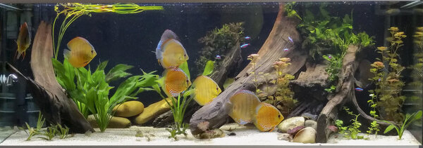 IMG_20180713_125323 bewerkt 574.jpg