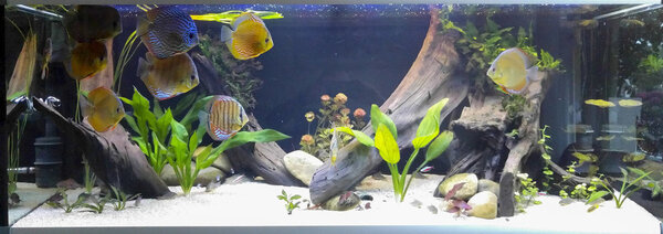 IMG_20180719_213749 bewerkt 602.jpg