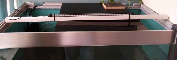 IMG_20180726_195742.jpg