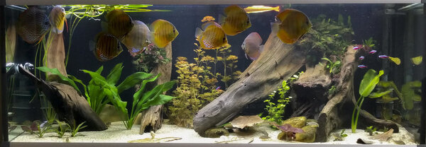 IMG_20180804_121858 bewerkt 603.jpg