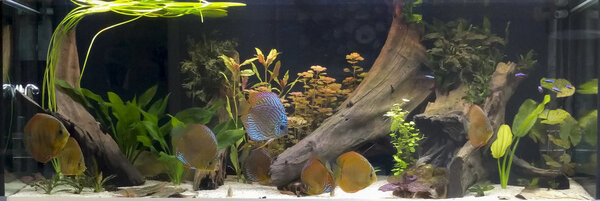 IMG_20180811_173547 bewerkt 604.jpg