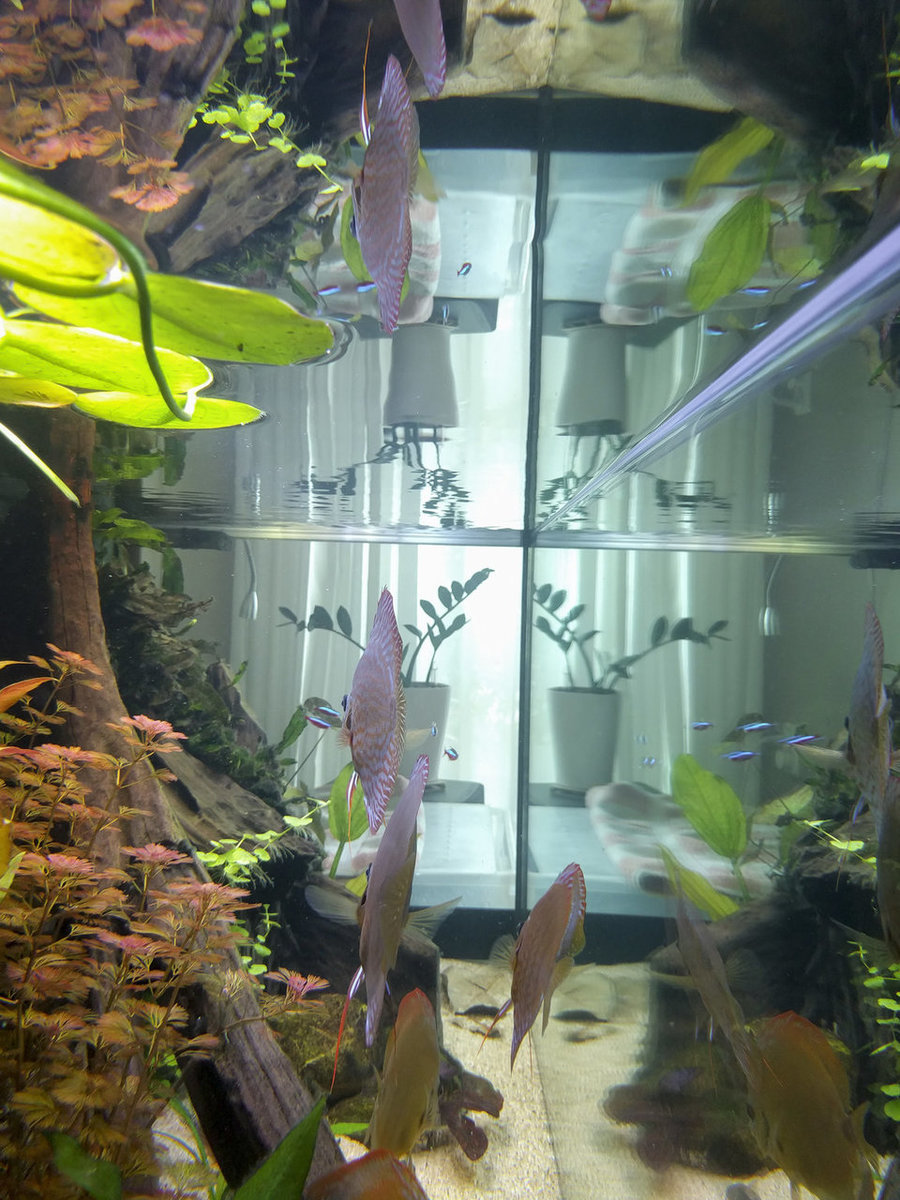 IMG_20180811_173622 bewerkt 606.jpg