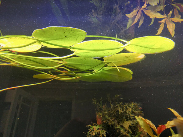 IMG_20180811_175206 bewerkt 607.jpg