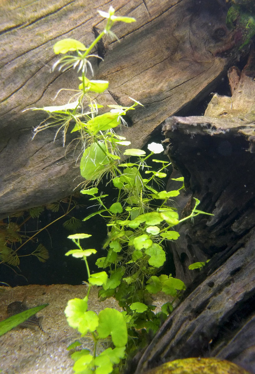 IMG_20180811_175253 bewerkt 608.jpg