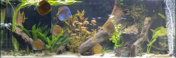 IMG_20180820_115944 bewerkt 619.jpg