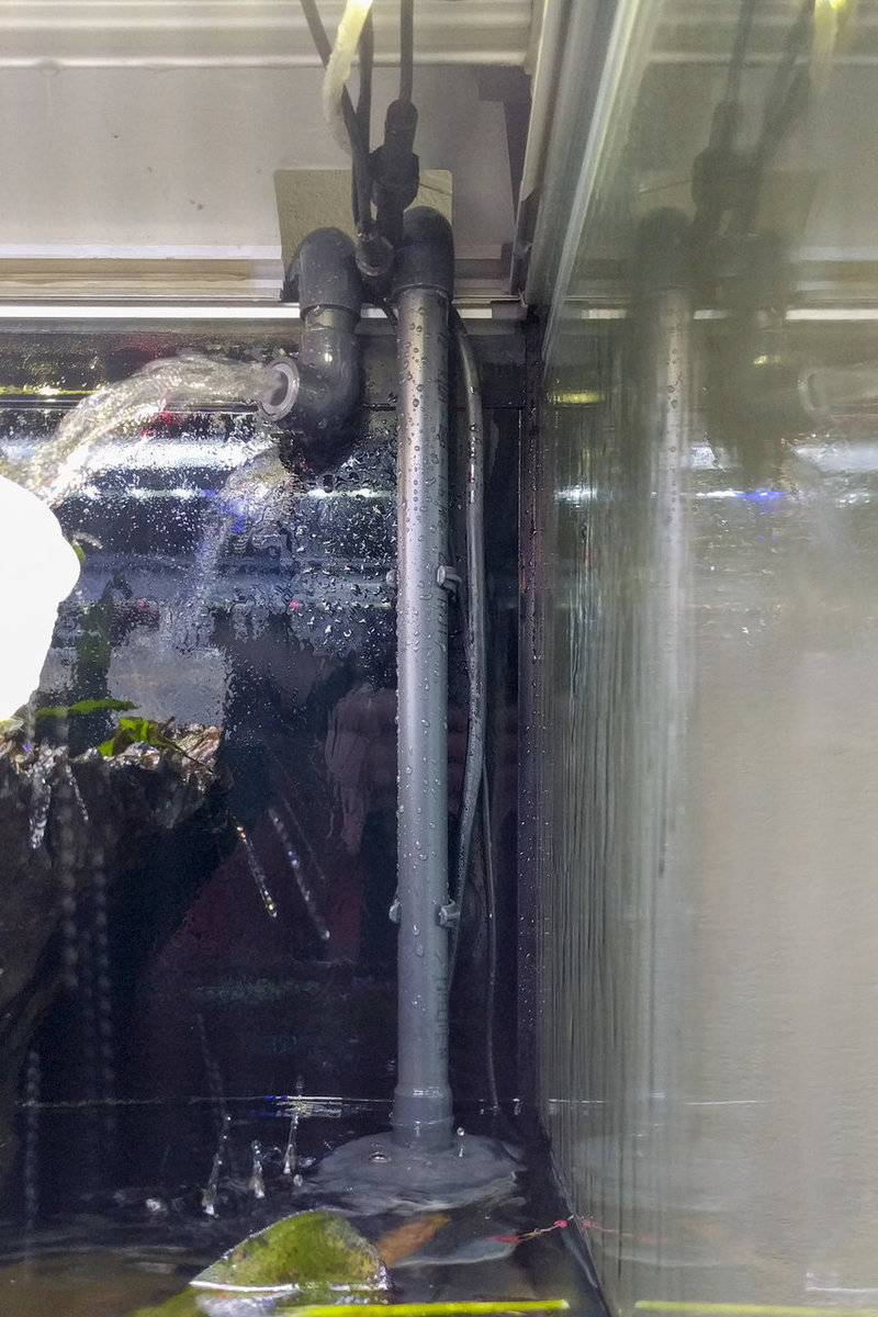 IMG_20180913_154423 bewerkt 665.jpg