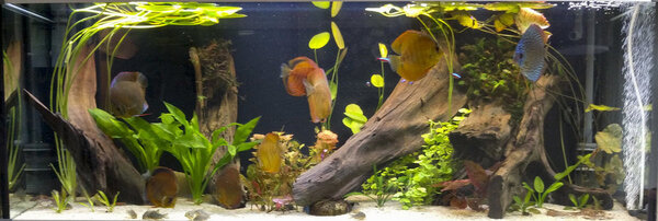 IMG_20180921_114405 bewerkt 722.jpg