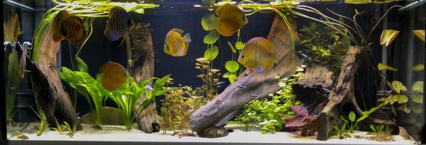 IMG_20180923_130658 bewerkt 756.jpg