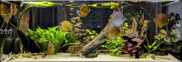 IMG_20181020_132245 bewerkt 792.jpg