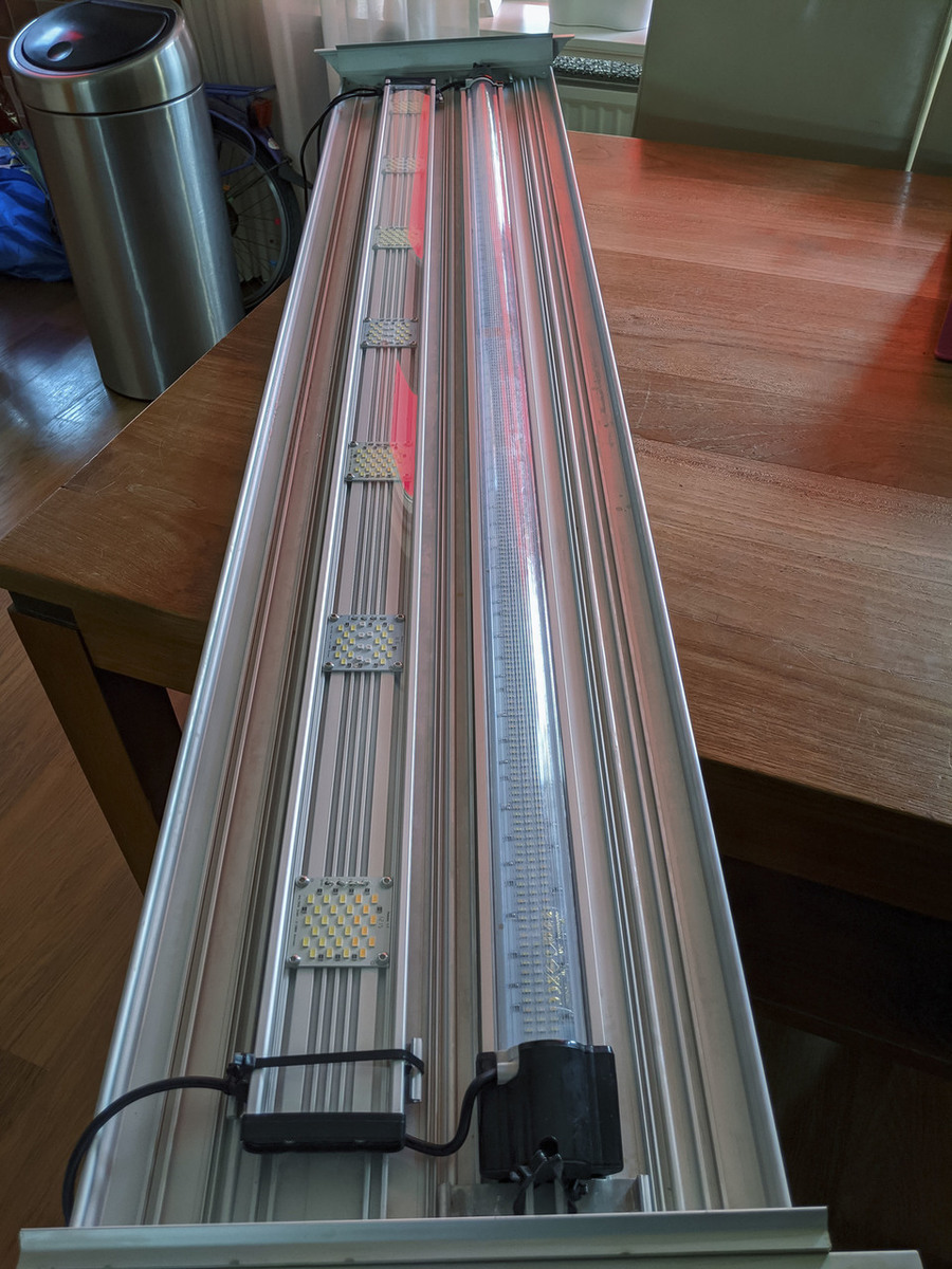 IMG_20200416_163030 bewerkt.jpg