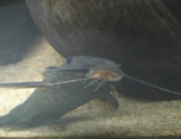 IMG_20201228_152615 (2).jpg