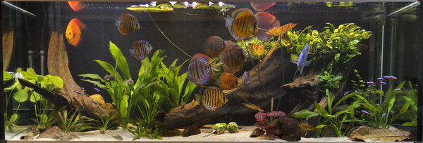 IMG_2050 bewerkt 068.jpg