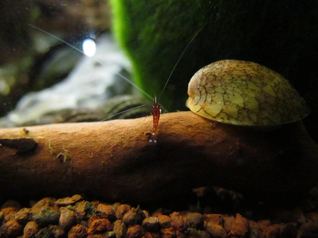 IMG_2307_zps47800cf4.jpg