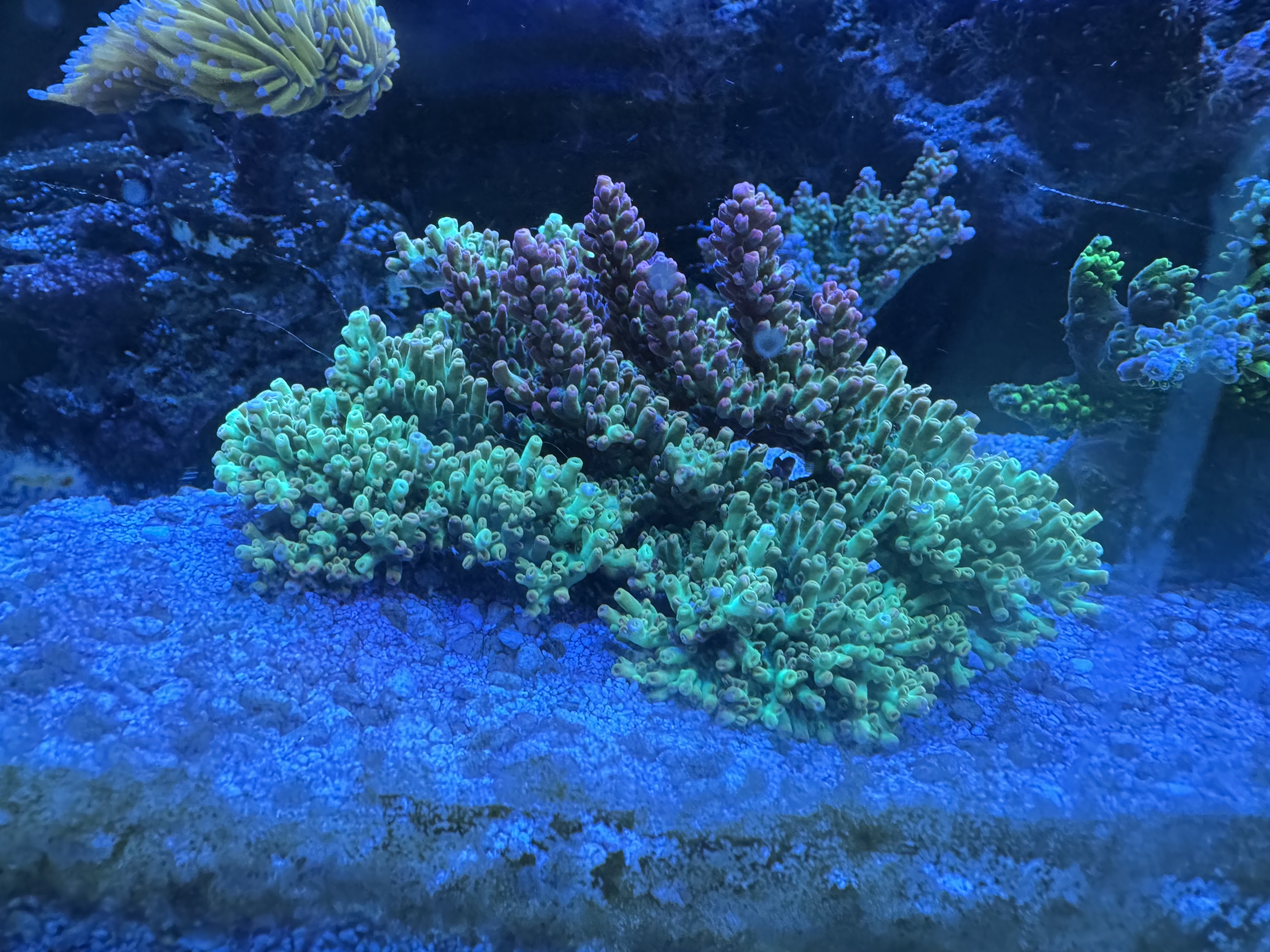 IMG_3041.jpeg