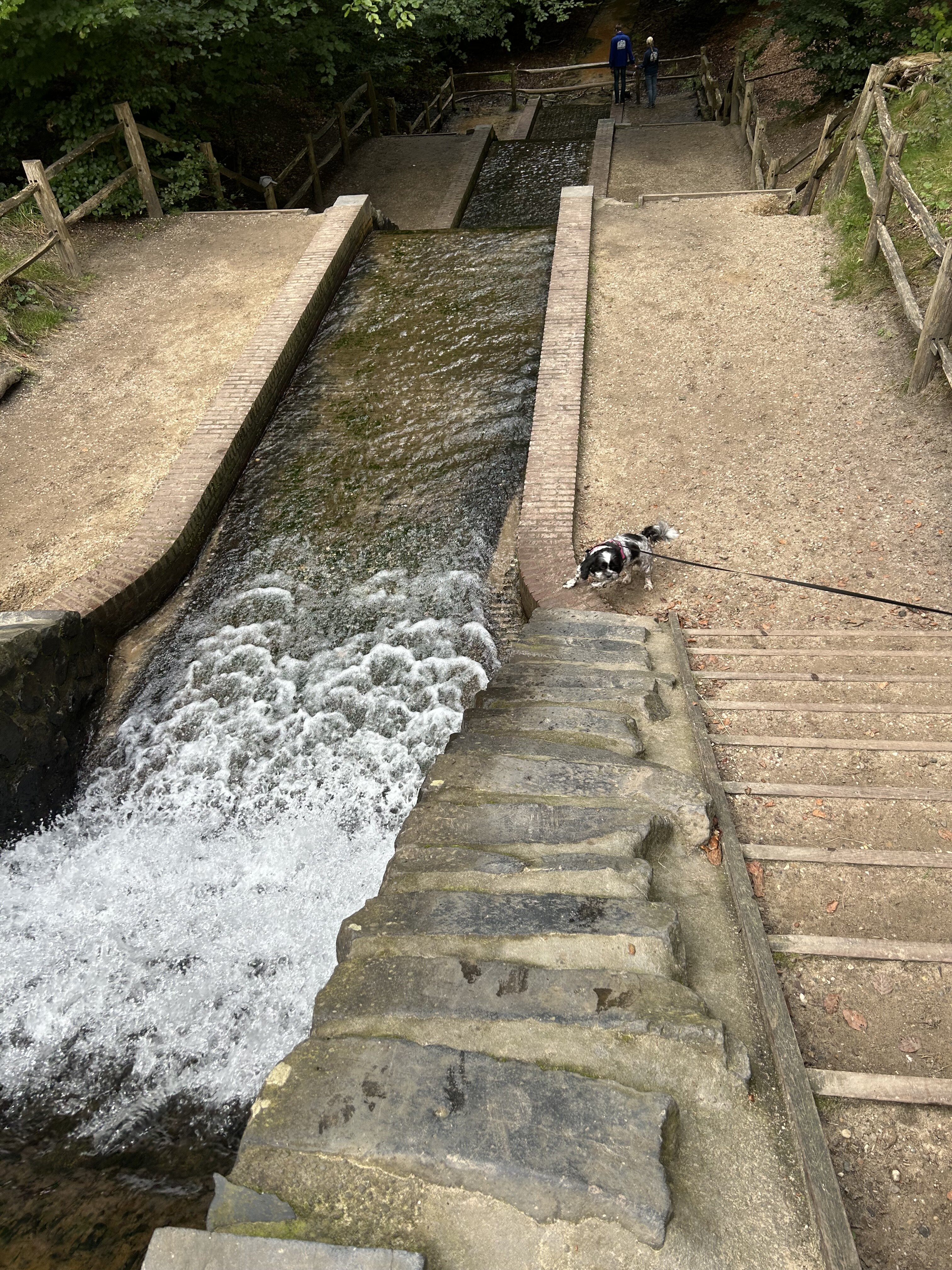 IMG_4096.jpeg