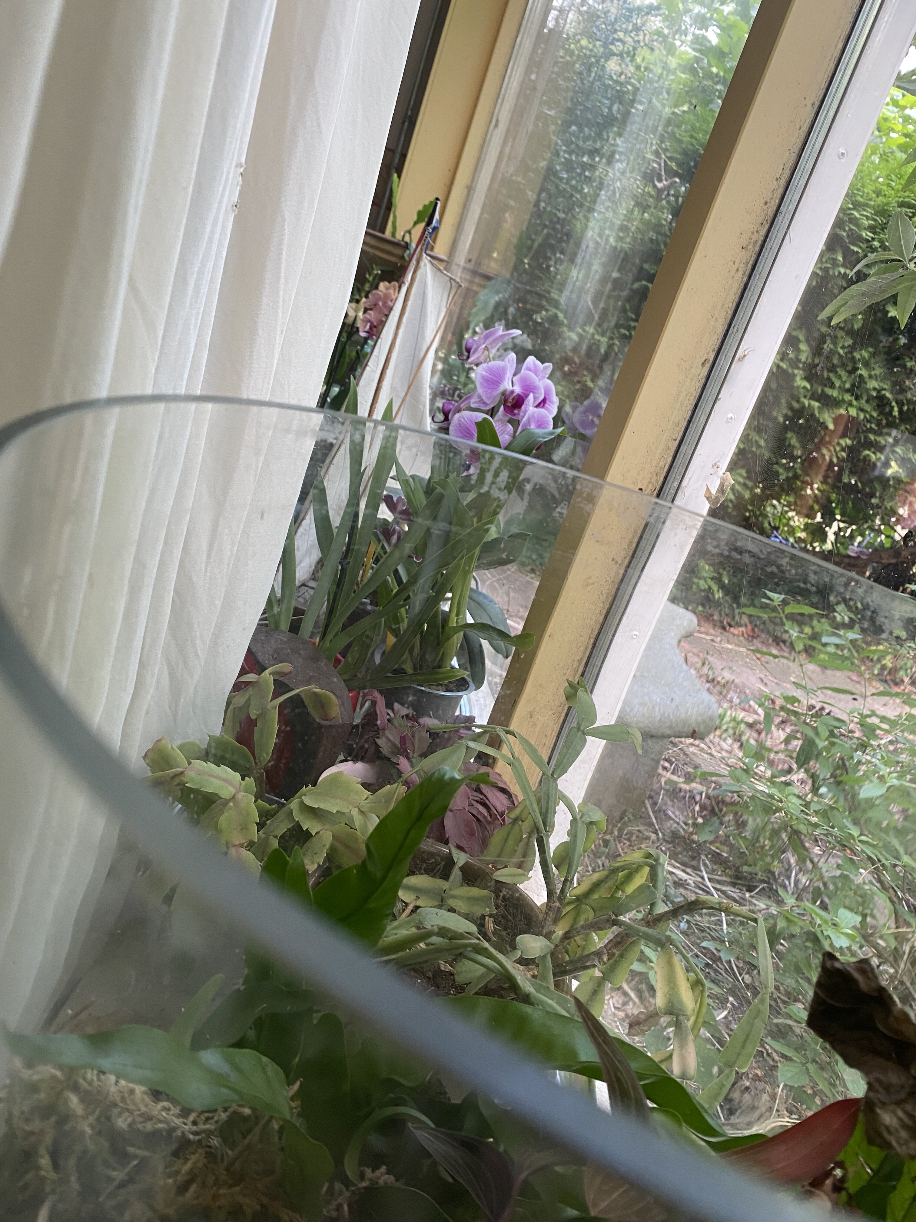 IMG_7902.jpeg