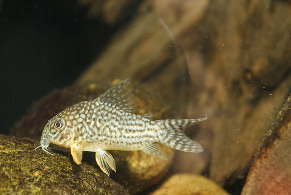 IMG_9590 bewerkt 016.jpg