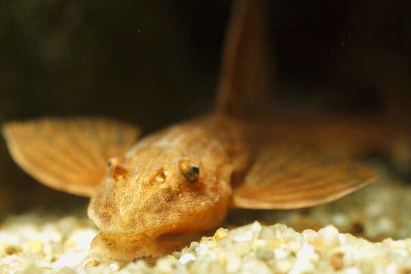 IMG_9593 bewerkt 032.jpg