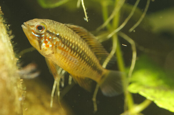 IMG_9598 bewerkt 025.jpg