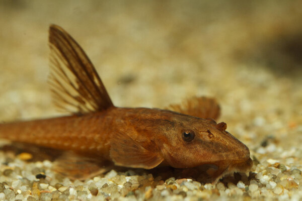 IMG_9619 bewerkt 033.jpg