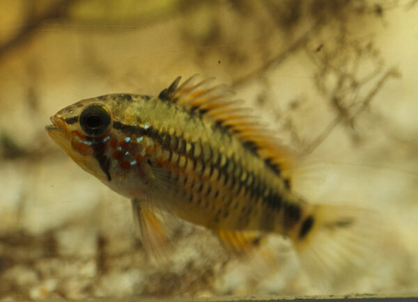 IMG_9620 bewerkt 026.jpg